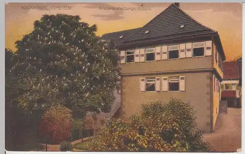 (112544) AK Neckarbischofsheim, Kreishaushaltungsschule, vor 1945