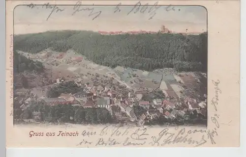 (112030) AK Gruss aus Teinach, Gesamtansicht 1902