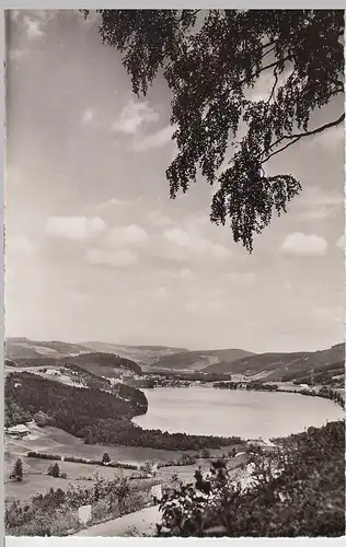 (111969) Foto AK Titisee im Schwarzwald, nach 1945