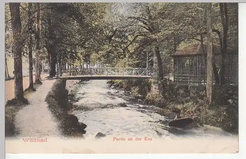 (110507) AK Wildbad, Partie an der Enz, 1905