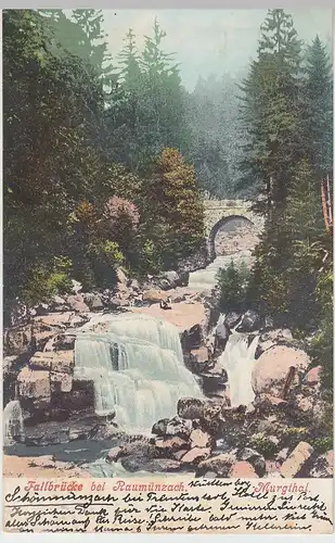 (109436) AK Fallbrücke bei Raumünzach, Forbach, Murgtal, Wasserfall 1904