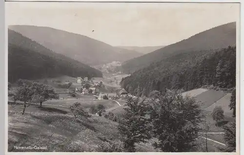 (109131) Foto AK Herrenalb Gaistal, Blick zum Ort 1931