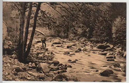 (108725) AK Schwarzwald, Schwarzwaldbach, Brücke 1908