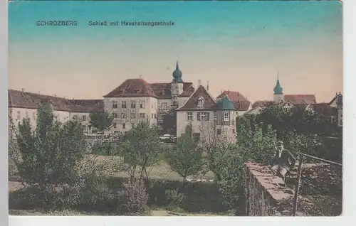 (108565) AK Schrozberg, Schloss mit Haushaltungsschule, vor 1945