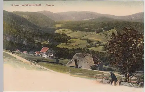 (108259) AK Bärental, Schwarzwald, Feldberg, um 1905