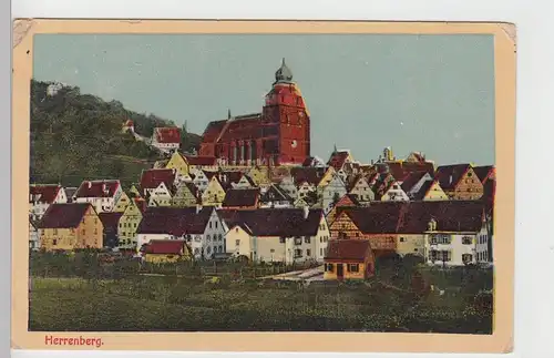 (106349) AK Herrenberg, Ansicht mit Stiftskirche um 1920
