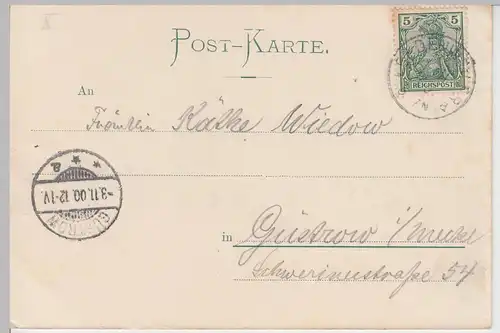 (106218) AK Gruss aus dem Schwarzwald, Alpenpanorama, Hochblauen 1900