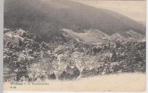 (105818) AK Wildbad, Blick von der Paulinenhöhe, 1905