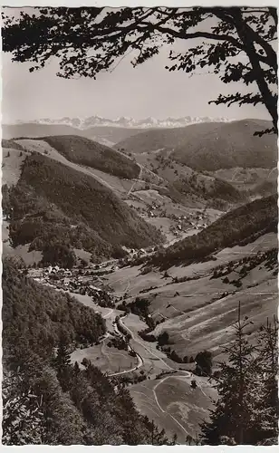 (104957) Foto AK Todtnauberg, Blick ins Wiesental u. auf die Alpen, 1950er