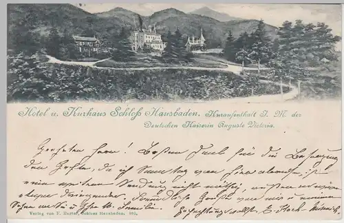 (104443) AK Badenweiler, Schloss Hausbaden 1902