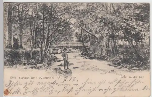 (104349) AK Gruss aus Wildbad, Partie an der Enz, 1904