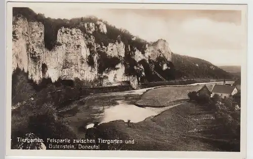 (100992) Foto AK Donautal, Felspartie zwischen Thiergarten, Beuron, u. Gutenstei