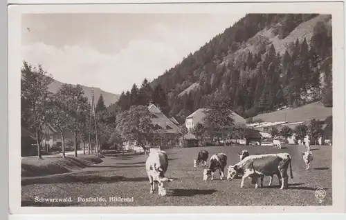 (100964) Foto AK Schwarzwald, Posthalde, Höllental, Rinderherde