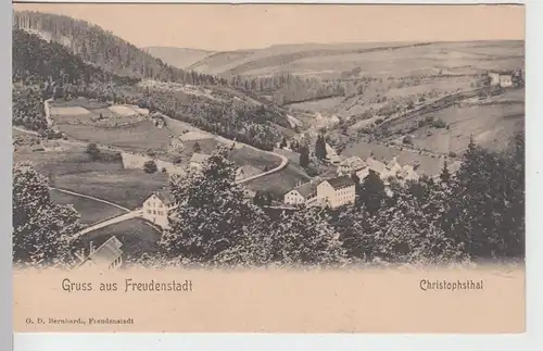 (100838) AK Gruss aus Freudenstadt, Christophsthal, vor 1905