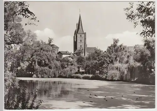 (91797) Foto AK Altenburg, Thür., Kleiner Teich, Rote Spitzen 1981