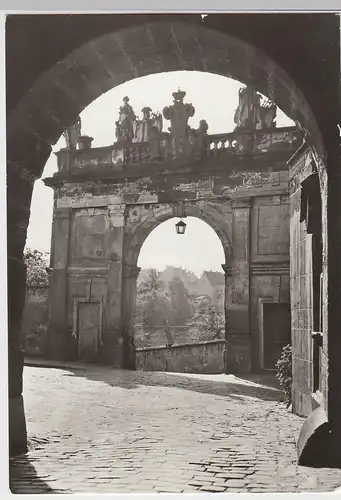 (91776) Foto AK Altenburg, Thür., Schloss, Portal 1981