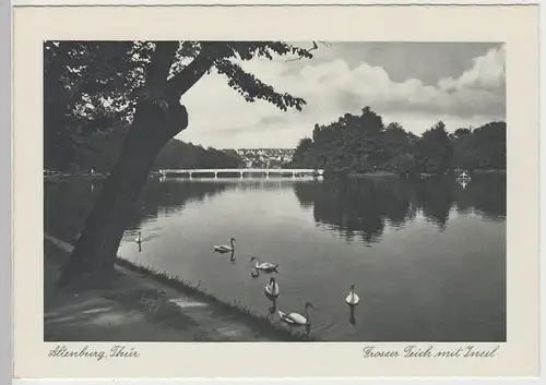 (85669) AK Altenburg, Thür., Großer Teich, Brücke, Insel, vor 1945