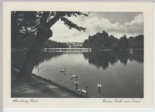 (85666) AK Altenburg, Thür., Großer Teich mit der Insel, vor 1945