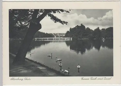 (85665) AK Altenburg, Thür., Großer Teich mit Insel, vor 1945