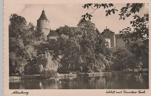 (79213) Foto AK Altenburg, Thür., Schloss, Pauritzer Teich, ab 1920
