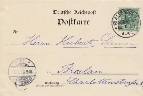 (338) AK Gruss aus Altenburg S.A., Mehrbildkarte 1897