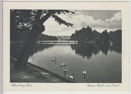 (115974) AK Altenburg i.Th., Großer Teich mit Insel 1930/40er