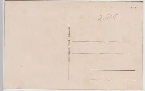 (113757) AK Altenburg, Thüringen, Kleiner Teich, Rote Spitzen, Kunst, bis 1919