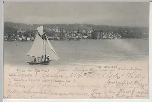 (76478) AK Gruß vom Zürichsee, Männedorf, Panorama, Segelboot, bis 1905