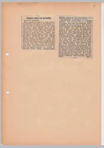 (D666) Ballonfahrt, orig. Zeitungsbericht ü. Harzfahrt, 1930er