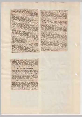 (D672) Ballonfahrt, orig. Zeitungsbericht "Braunschweigische Landeszeitung" 1932