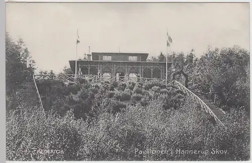(111773) AK Fredericia, Pavillonen i Hannerup Skov, Pavillon, Bahnpost 1907