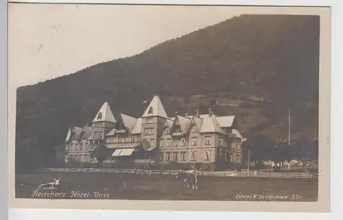 (110920) AK Voss, Fleischers Hotel, 1920er