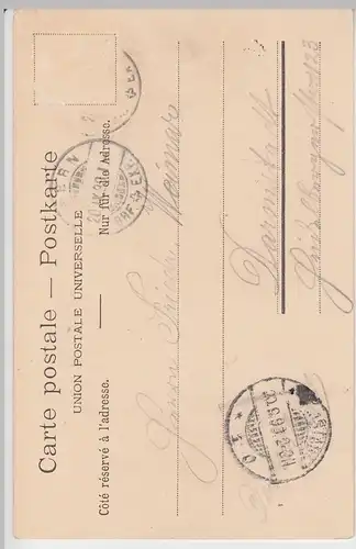 (103834) AK Bern, Münster 1899