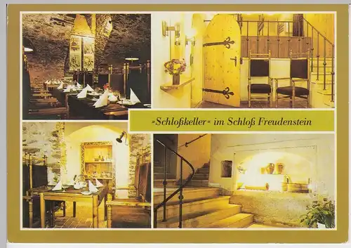 (102359) AK Freiberg, Schlosskeller im Schloss Freudenstein 1988