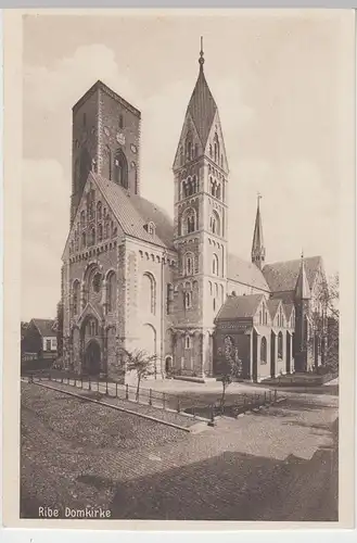 (98729) AK Ribe, Dom, Domkirke, vor 1945