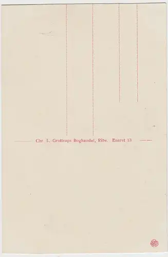 (98728) AK Ribe, Dom, Domkirke, vor 1945