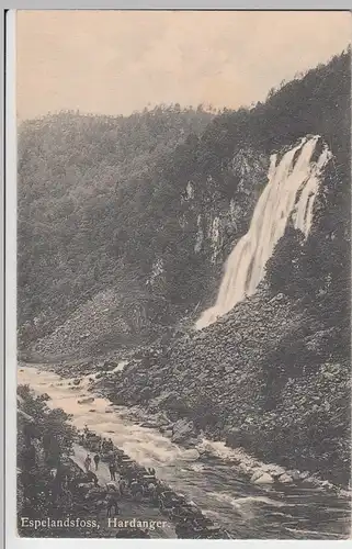 (98713) AK Espelandsfossen, Hardanger, Wasserfall, Pferdekutschen vor 1945