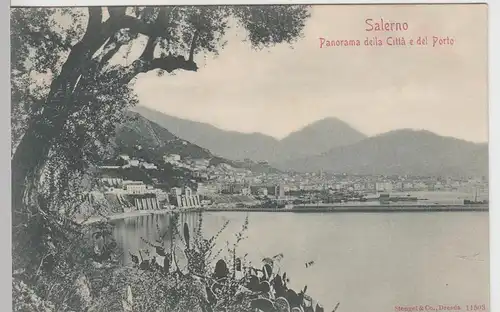 (97280) AK Salerno, Panorama della Città e del Porto, vor 1905