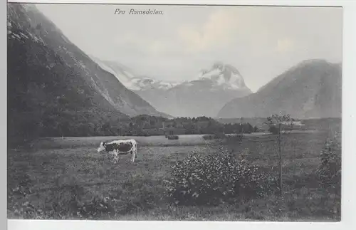 (97190) AK Romsdal, Fra Romsdalen, vor 1945