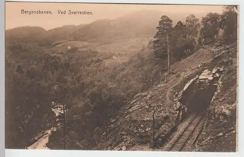 (97187) AK Sverrestien, Bergensbanen, vor 1945