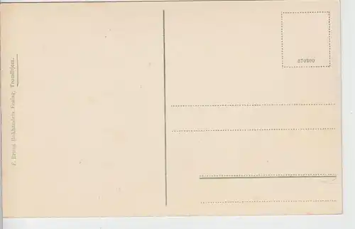 (97139) AK Trondheim, Trondhjem, Domkirke, Festgudstjeneste 1914