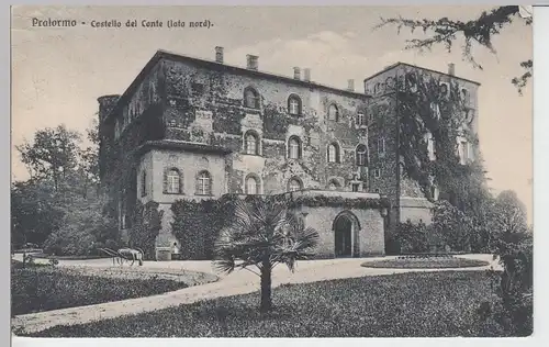 (93665) AK Pralormo, Castello del Conte, 1913