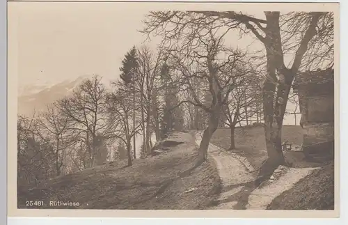 (93588) AK Rütliwiese, 1920/30er