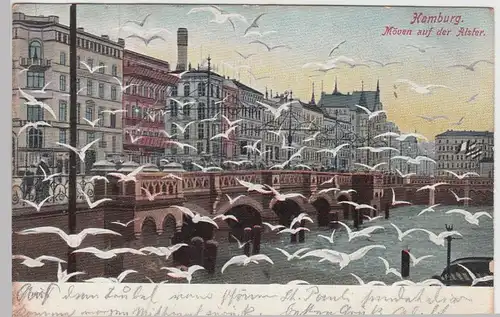 (93571) AK Hamburg, Möwen auf der Alster, 1906