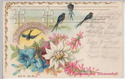 (93473) AK Schwalben, Enzian, Edelweiß, Golddruck 1905