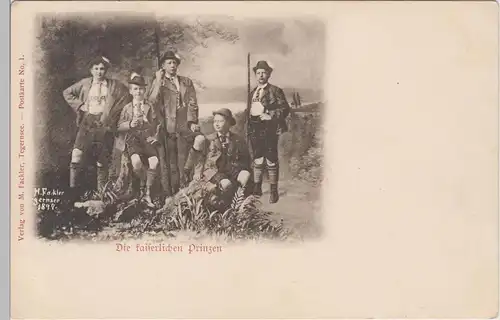 (93396) AK Die kaiserlichen Prinzen, um 1897