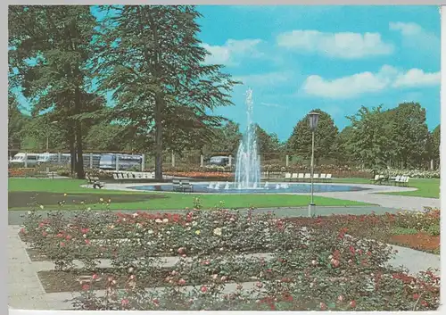 (92000) AK Berlin, Rosengarten in Treptow, DDR 1980