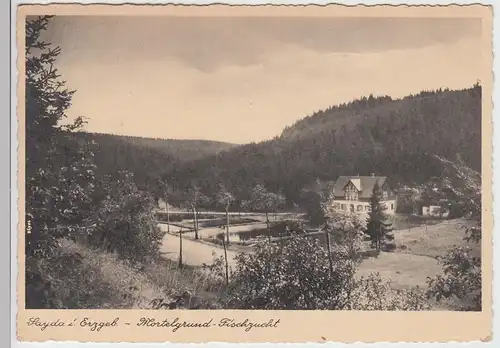 (91731) AK Sayda, Erz., Mortelgrund, Fischzucht 1943