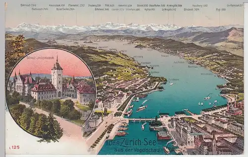(91534) AK Zürichsee a.d. Vogelschau, mit Landesmuseum Zürich, vor 1945