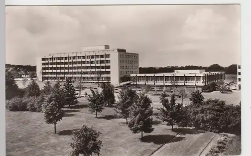 (91506) AK Bad Oeynhausen, Diabetisklinik 1966